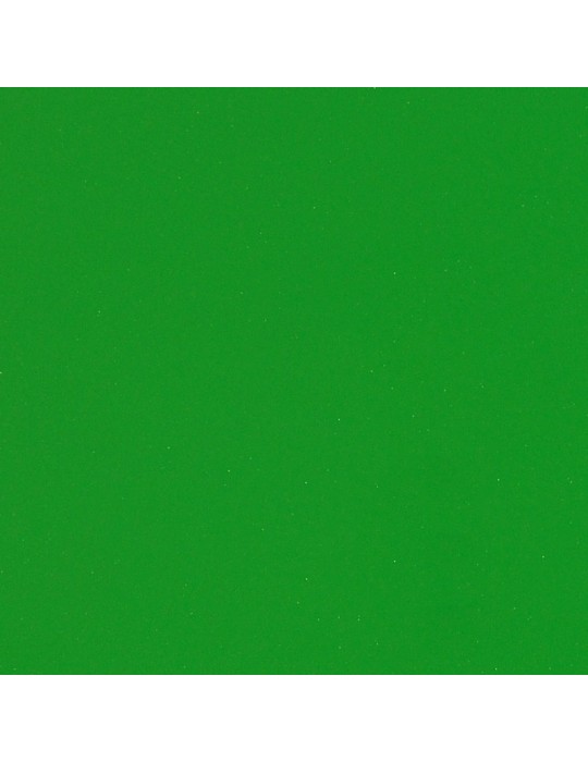 HX20228B - Vert Wasabi Brillant